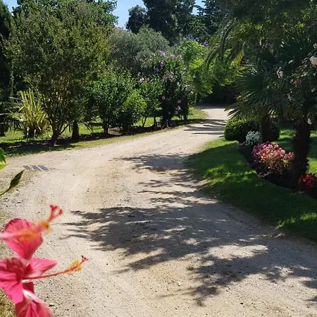 Studio Acacia Lägenhet Calvi (Corsica)