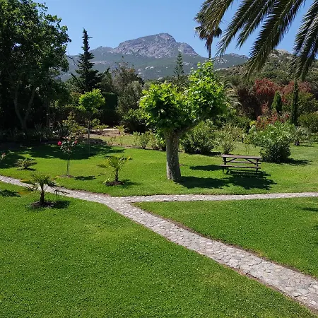 Studio Acacia Lägenhet Calvi (Corsica)